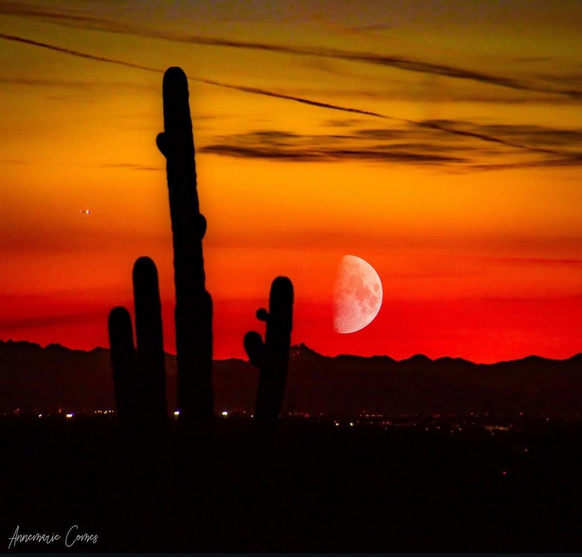 ComesAnnemarie's tweet image. “The universe gives us a reminder of how beautiful endings can be when the sun sets and the moon rises.”
~Taylor Ashley
#sunset #moon #intense #beautifulendings