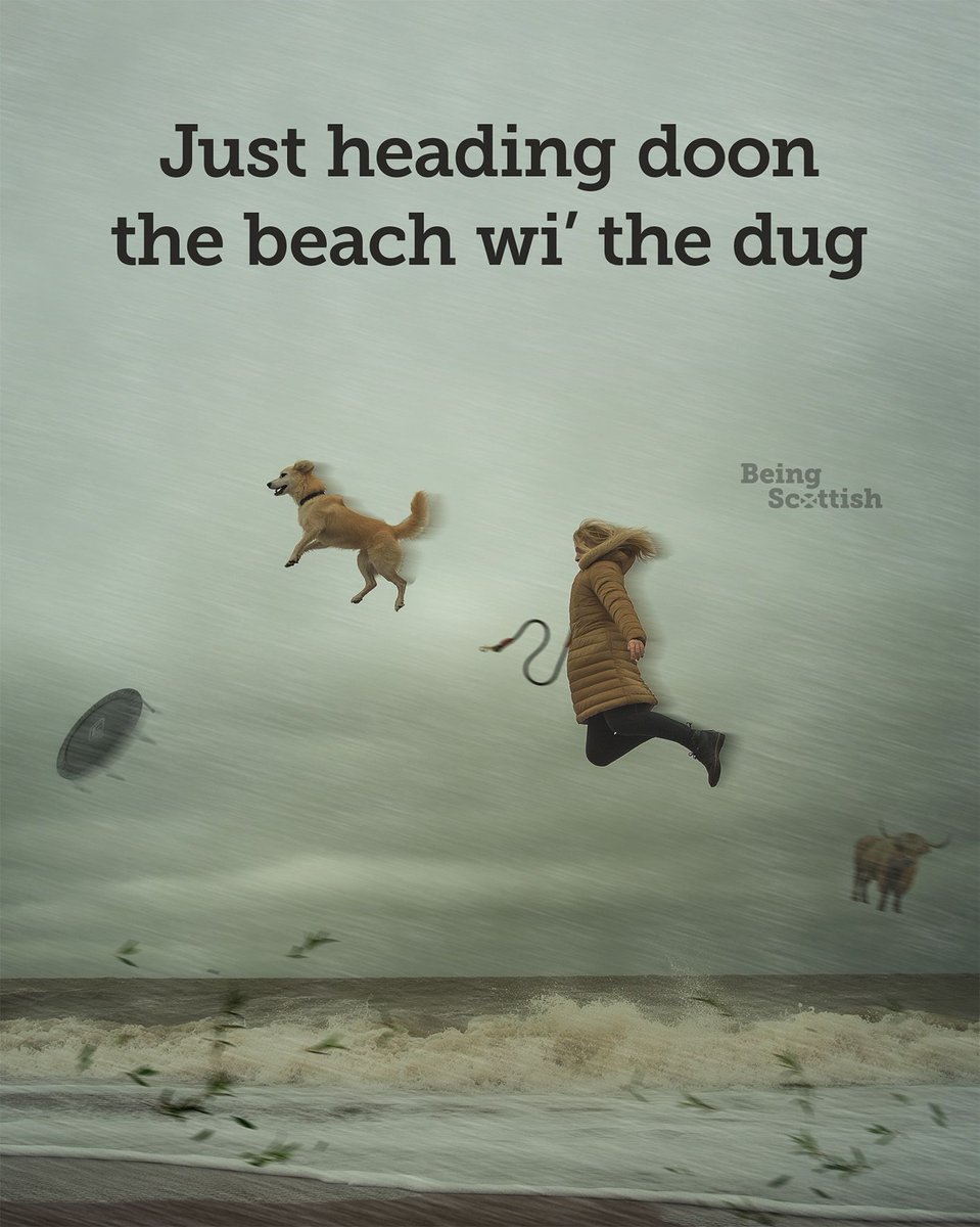 Storm Éowyn - also known as 'that storm' by those who cannae say it. Take care troops ❤️🏴󠁧󠁢󠁳󠁣󠁴󠁿