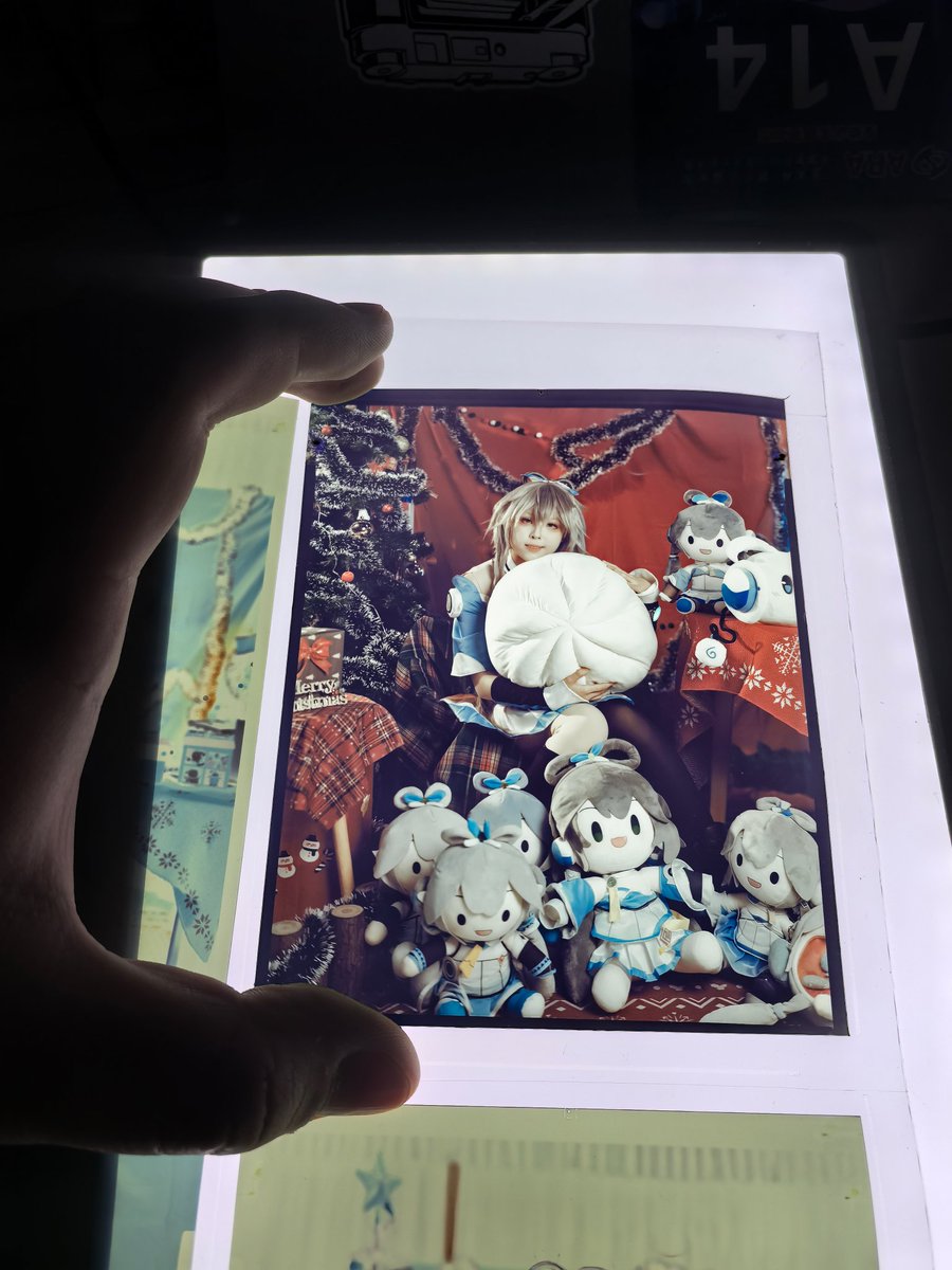_RENMINWANSUI_'s tweet photo. 上海中术only 洛天依 柯达2460 4×5大画幅胶片拍摄 https://t.co/1dVKox3YDI