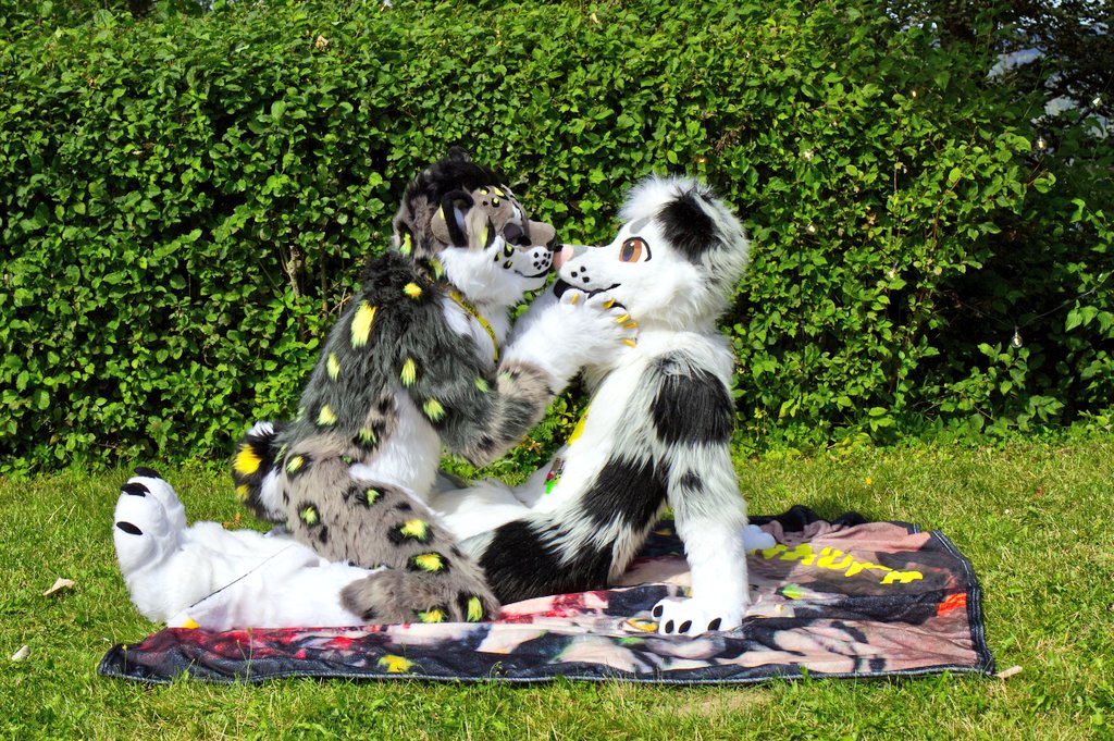 Akoro_snep's tweet photo. Good morning its #FursuitFriday YaY
Don't forget to give your favourite doggo a kiss those good boys earned it.
#mygoodboy #FursuitEveryday #fursuiter
🪡 @BruceDoggo
📸 @KhatuLion https://t.co/eVzJfaURVC