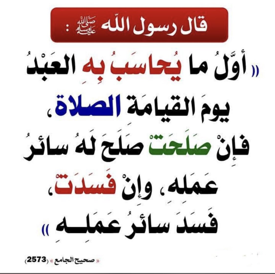 راشد بن علي آل زنان tweet media