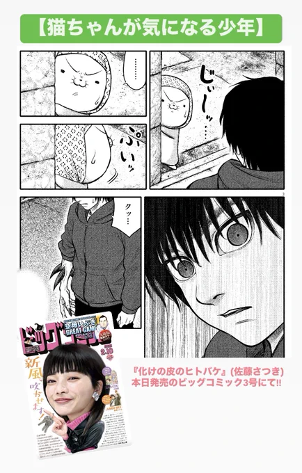 【猫ちゃんが気になる少年】

『化けの皮のヒトバケ』(佐藤さつき)
本日発売のビッグコミック3号にて!!

ビッコミならもしかして…?🐈
https://t.co/6g0o50xt28 
