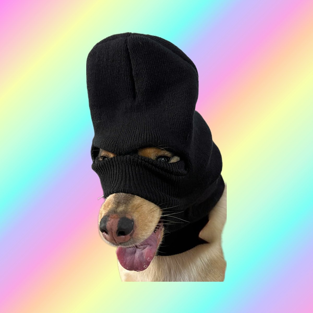 xranmori's tweet photo. I'm here to retire my Mum 💝 $SKI #maskstayson https://t.co/s1WekQt4y1
