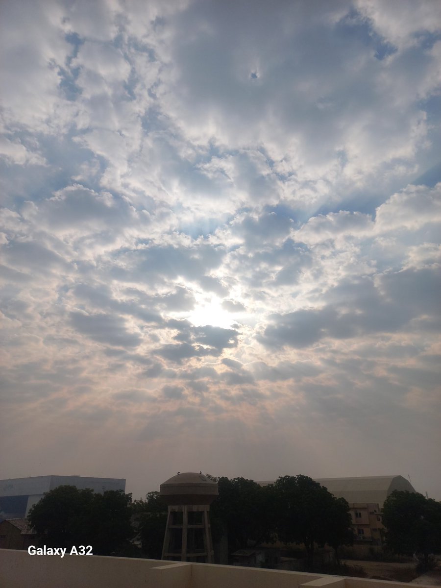 Good morning X family 
Happy Friday