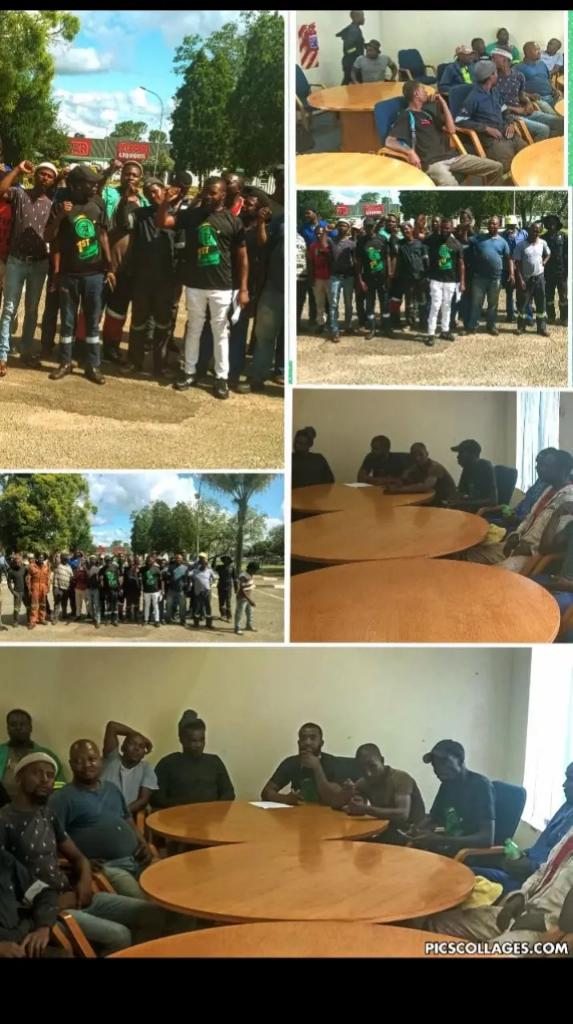 MK PARTY MKHONDO SUB REGION: EVICTION OF INFORMAL MECHANICS IN MKHONDO SUB REGION

Commander Treasure 
Commander Mfuqeni
MKhondo Sub Region