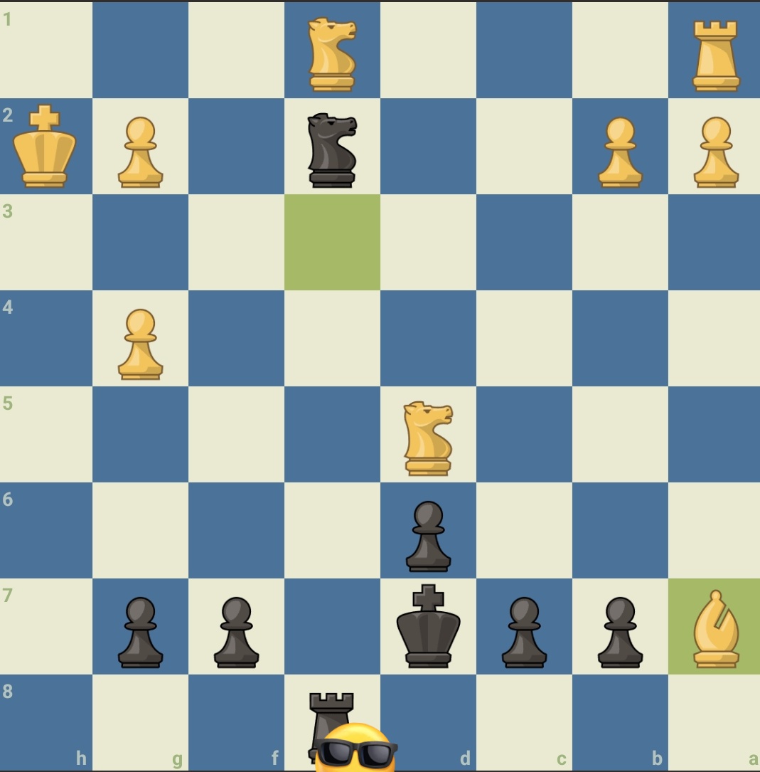 ChessKid India tweet media