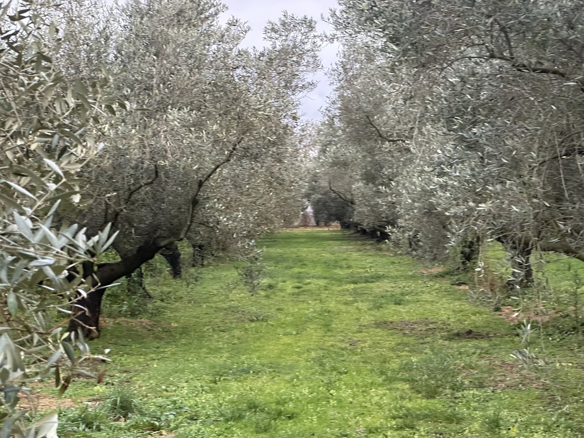 Esta semana FRANCIA, no preguntamos, solo aportamos nuestras soluciones