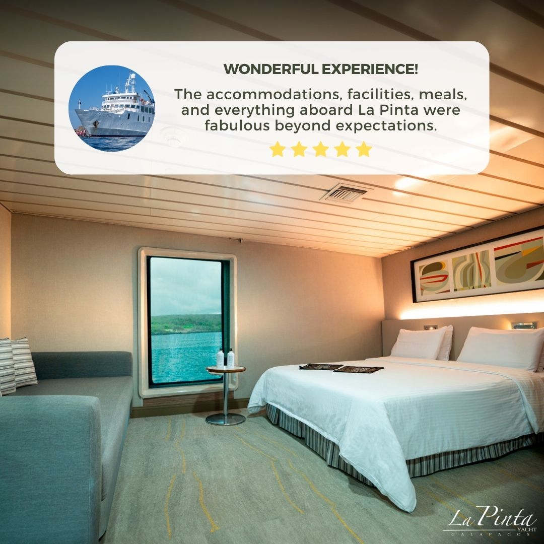 🌊Thanks for the fabulous review! 💫We love being a part of your journey!

🐢Book your extraordinary experience with us today!

bit.ly/3PJlFvK

#GalapagosExperience #GalapagosCruise #GuestReviews