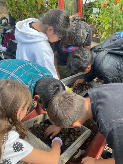 NAU SES (@nau_ses) on Twitter photo SES students and interns hosted 74 Killip Elementary School Fourth Graders at the Colton Community Garden to learn about cooking garden vegetables, vermicomposting, seed saving, and soil building. <a href="/nau_cefns/">NAU Environment, Forestry & Natural Sciences</a> #SES_students #NAU_sustainability SES students and interns hosted 74 Killip Elementary School Fourth Graders at the Colton Community Garden to learn about cooking garden vegetables, vermicomposting, seed saving, and soil building. <a href="/nau_cefns/">NAU Environment, Forestry & Natural Sciences</a> #SES_students #NAU_sustainability