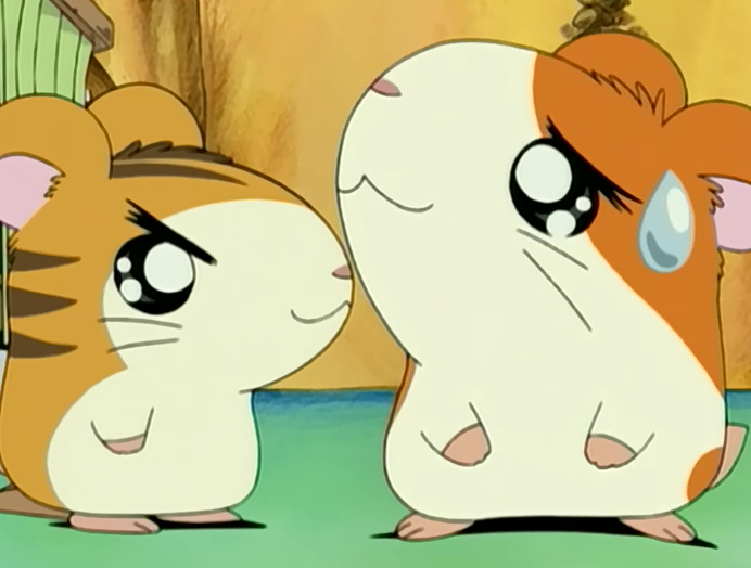 ハム太郎 Episode 17 