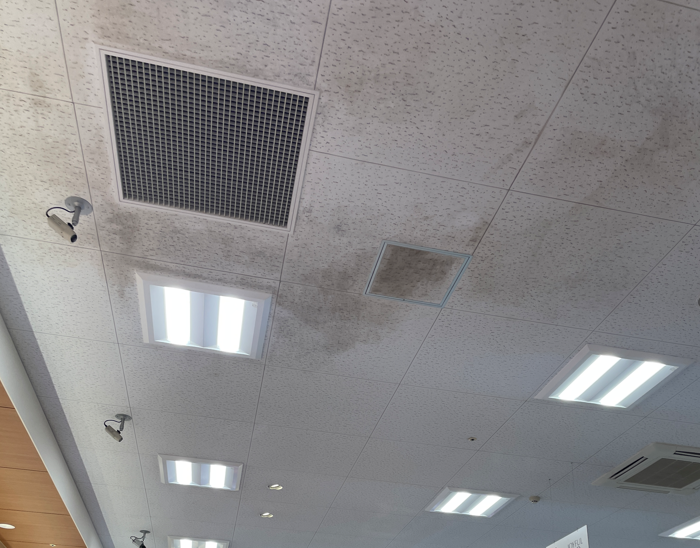 🌟【#天井カビ対策キャンペーン実施中！】🌟
👇参加は簡単！👇
1️⃣ スーパーマーケットの天井カビと店舗外観を撮影📸
2️⃣ このアカウントにDMで送信（店舗名と地域を記載してください）
3️⃣ スターバックスギフトクーポンをゲット🎉
⏳ クーポンは先着順！早めのご応募をお待ちしています！
#天井カビ対策