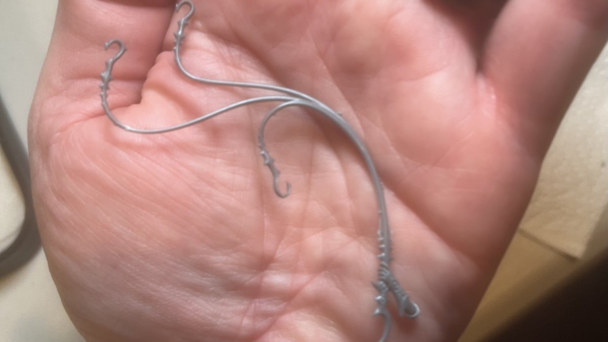 The Spider King tweet media