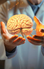 ElenaHawk2022's tweet photo. 🌟 Join Us for the Brain Disorders Conference 2025🧠We are thrilled to announce the upcoming 6th Global Summit on Brain Disorders and Therapeutics, dedicated to exploring groundbreaking advancements in brain disorders research and treatment.
📅April 23-24, 2025 
📍Paris, France https://t.co/CINYZSE6gQ