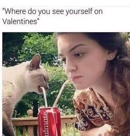 WholesomeMeme tweet picture