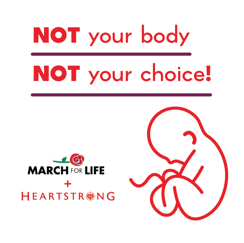 TrueHeartstrong's tweet photo. #whywemarch #MarchForLife https://t.co/IxmHNBS4gp
