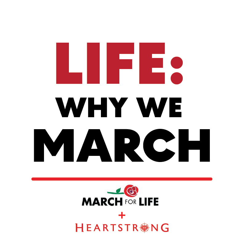 TrueHeartstrong's tweet photo. #whywemarch #MarchForLife https://t.co/IxmHNBS4gp