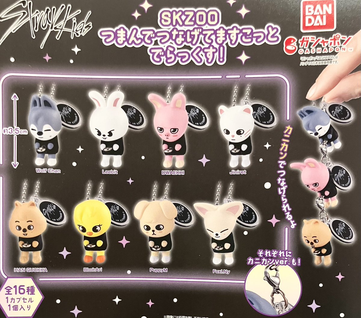 ?1/24(金)再入荷情報? ⭐️SKZOOつまんでつなげてますこっと 