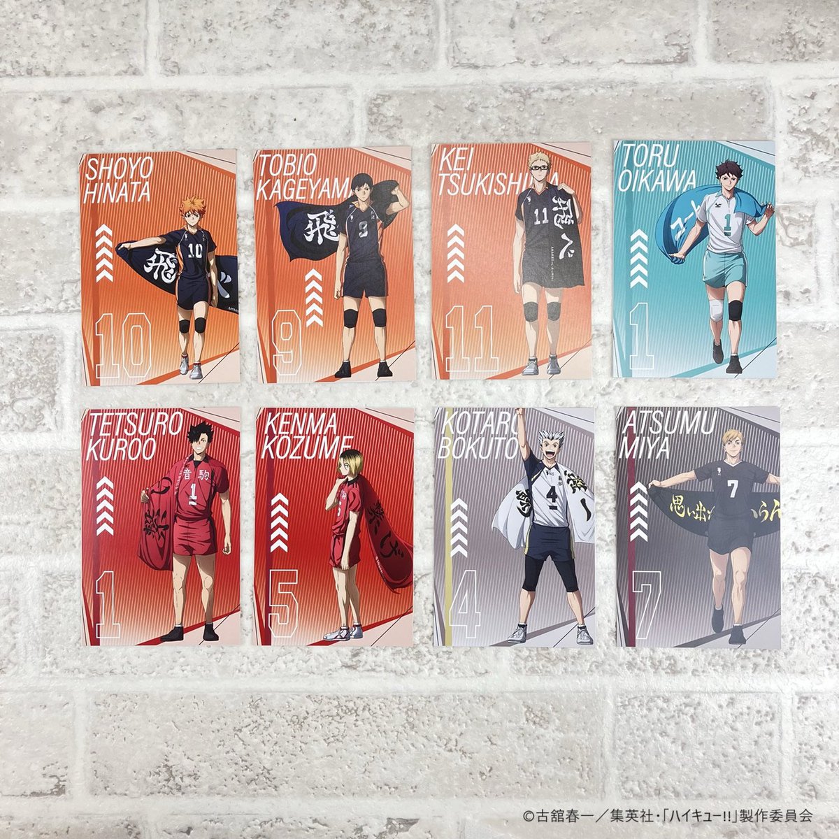 イオンモール白山会場】1/25(土)〜2/20(木) ◇ノベルティA①◇ 税込