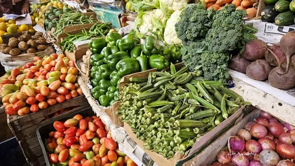 thedrosg1's tweet image. 1OO % #Organic #healthy #fruits &amp;amp; #vegetables products of #Eritrea 🇪🇷

Their fresh look &amp;amp; small are simply #mouthwatering.

#Food #HealthyFood #HealthyLiving