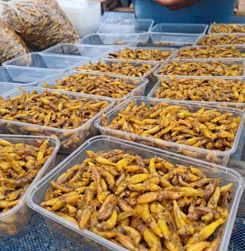 amusmartz's tweet photo. Karibu ujipatie Senene wenye ladha kwa afya bora!
💰 Package: TZS 15,000/-
🪣 Ndoo Ndogo: TZS 155,000/-
🛍️ Ndoo Kubwa: TZS 285,000/-
📍 Dar – Sinza Mori
📞 WhatsApp/Call: 0759855572 au DM
– Agiza sasa na ufurahie ladha na lishe!
@TricyDagaaOg @amprincess9
#Senene #LisheBora https://t.co/divIf5Pdy1
