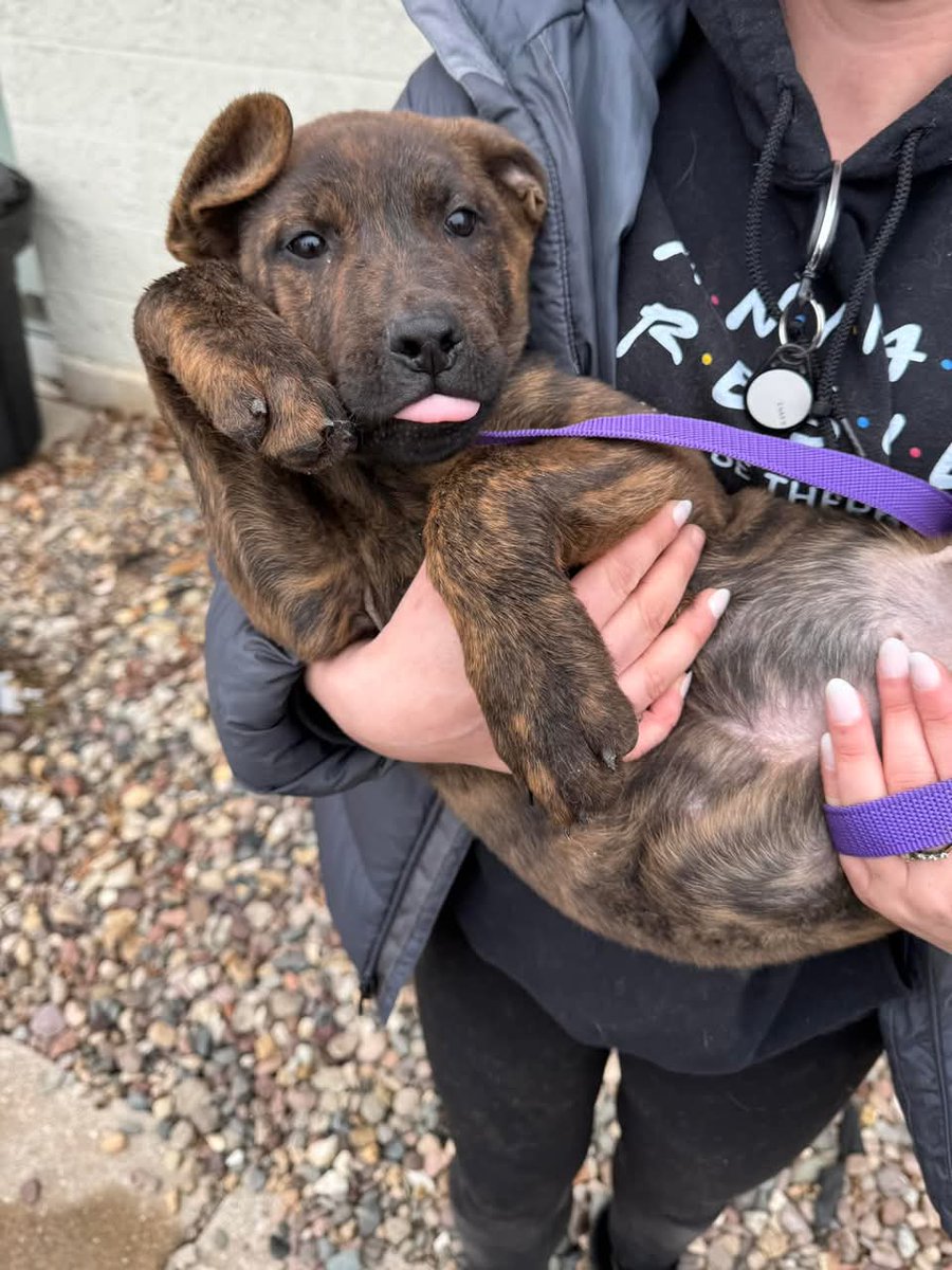 I know some of you are from Iowa and need a friend 🔫