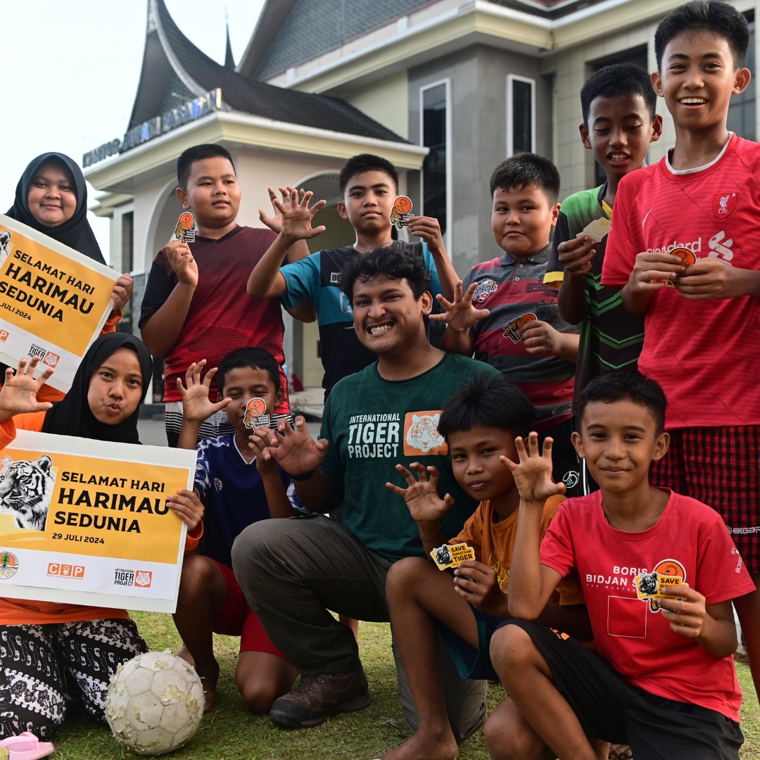 IntTigerProject's tweet image. This #InternationalDayOfEducation, we’re celebrating the power of education to create brighter futures—for people, tigers &amp;amp; forests! Thanks to our amazing supporters, our teams in Sumatra are educating forest-edge communities to protect Critically Endangered Sumatran tigers 🐅