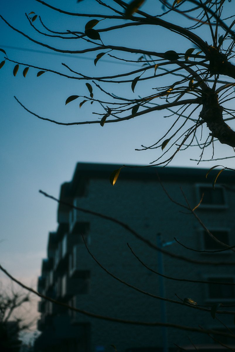 真道 健志 / Shindo Takeshi tweet media