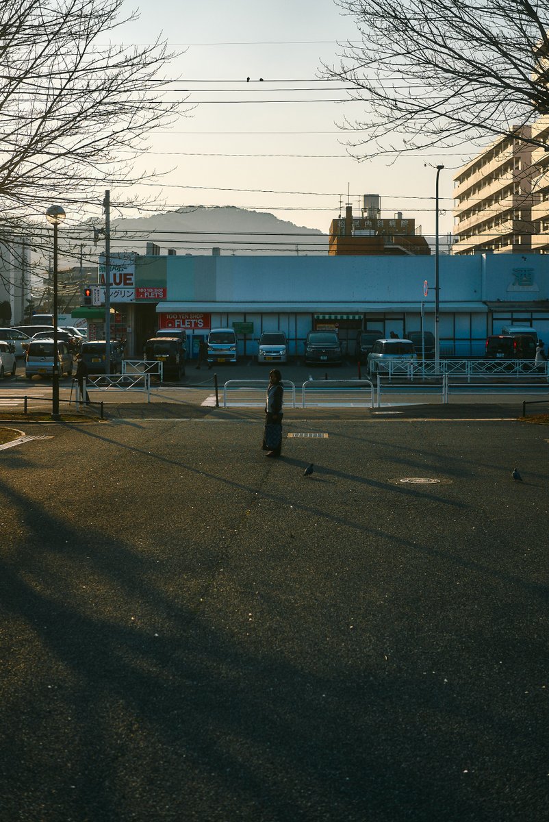 真道 健志 / Shindo Takeshi tweet media