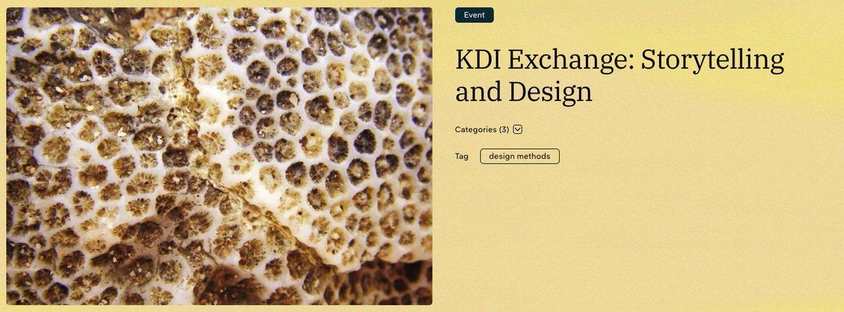 📢 Reminder! In case you missed it—Arlene will present on design for narrative storytelling at KDI Exchange.

Join us on Zoom tomorrow, Friday, Jan 31, 11AM-12PM CST: lnkd.in/g8sPmMDR
