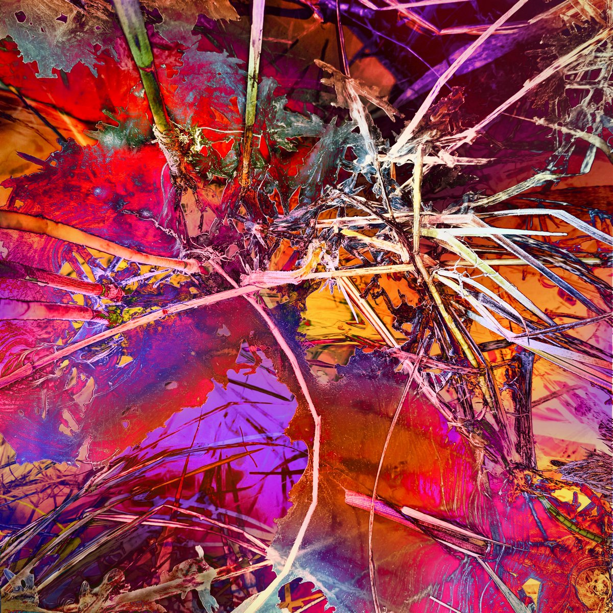 gm …frozen spectrum 09
#FrozenSpectrum #CreativeRetouching #DigitalManipulation #TactileTextures #AnalogDigitalNatural