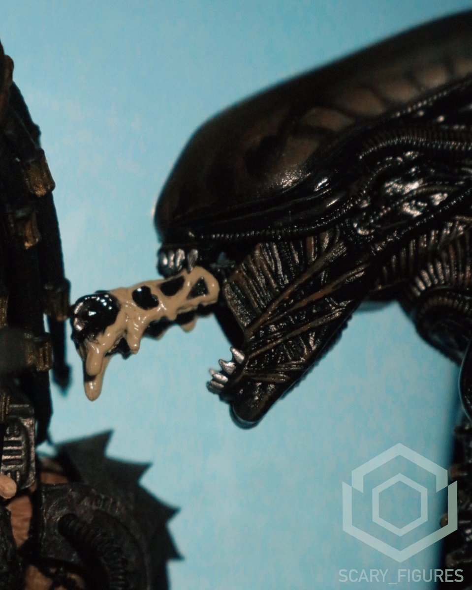 A V P 

#actionfigure #actionfigures #figurephotography #horror #HorrorMovies #mezco #mezcoone12 #alien1979 #xenomorph #predator1987 #yautja