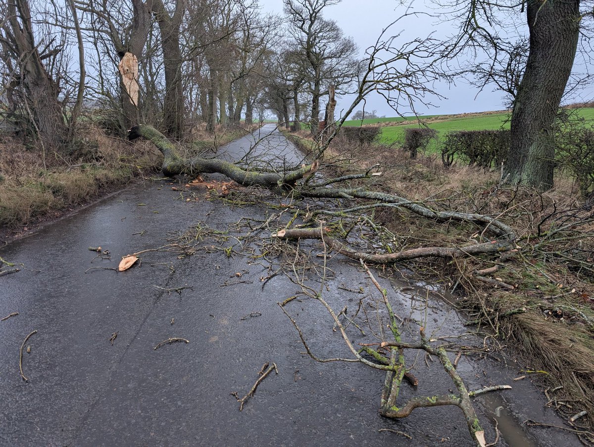 spiral_arms's tweet photo. @edinhelp FYI tree branch down across Clifton Road. What3words ///legs.dragging.poets https://t.co/gmAJBTgmos