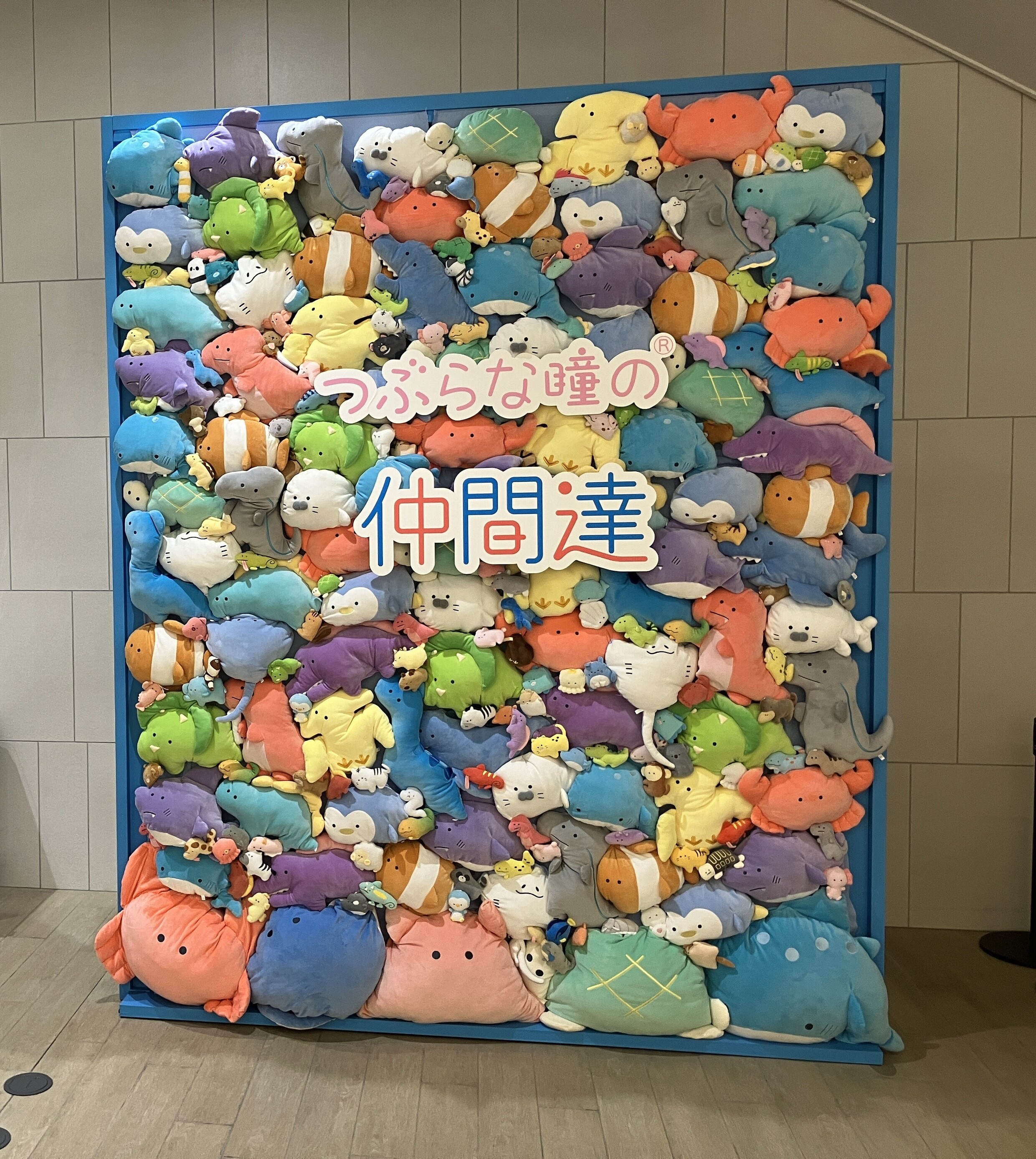 新品】こっちよネコちゃん / 心火GAMES 発売日:2025年05月頃