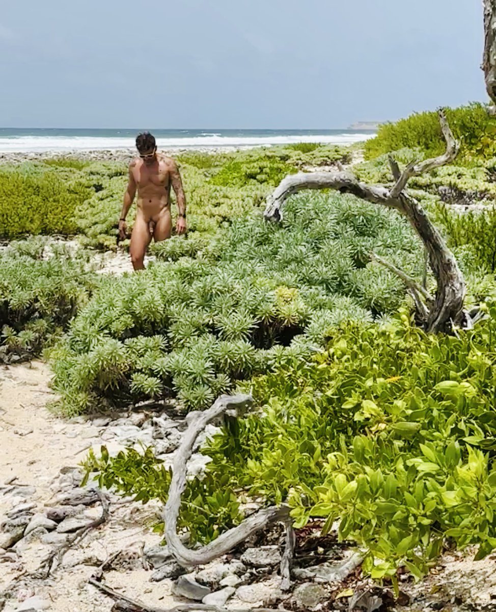 VacationNaked tweet media