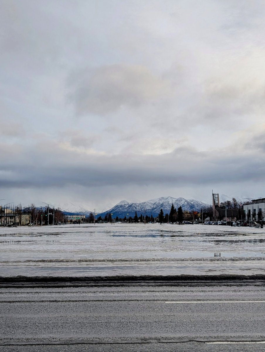 Hoover Bucs Basketball tweet media