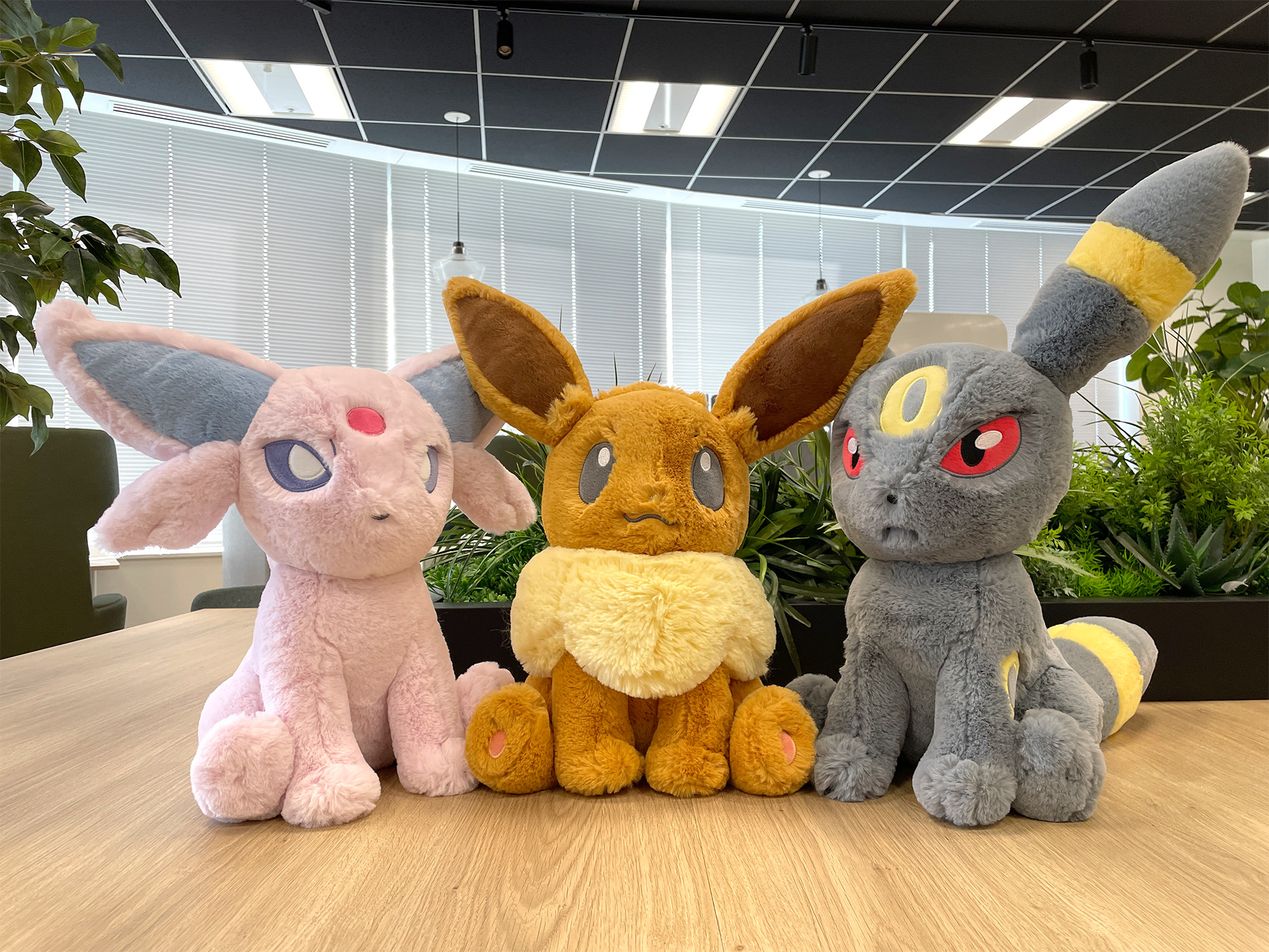 ポケモンだいすきクラブ編集部【公式】 on X: 