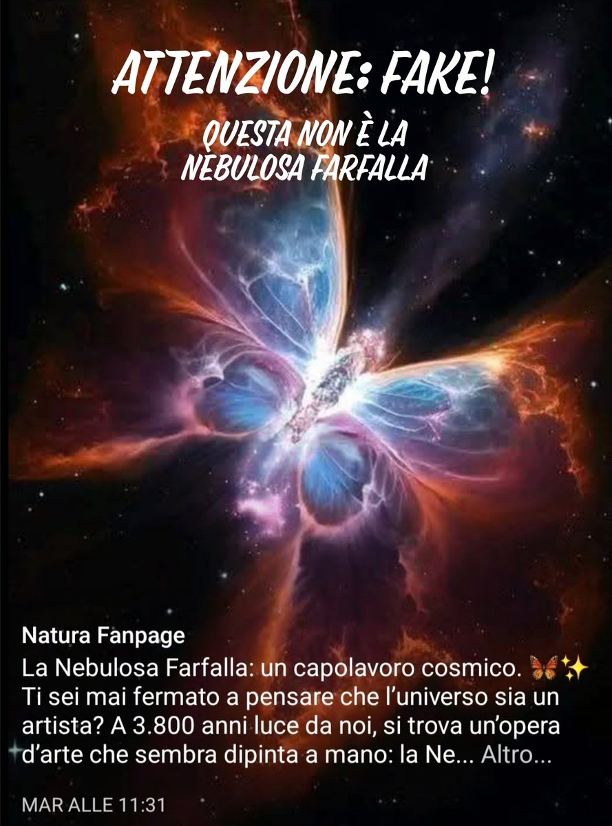 Alice Rotelli tweet media