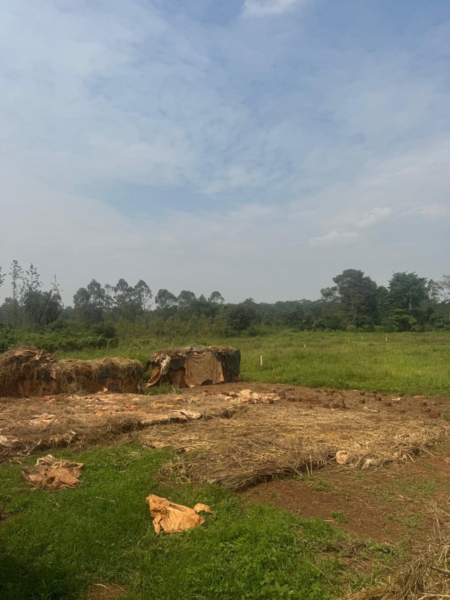 KalwinUg's tweet photo. Join the Gayaza community. Secure one of our 7 (50 by 100) plots in Gayaza-Nakasajja at only UGX 35M each. With ready land title, water and electricity on site.
For more details contact us at +256702300812
#realestate
#availableland
#BuyNow https://t.co/x1UtQ9kjsV