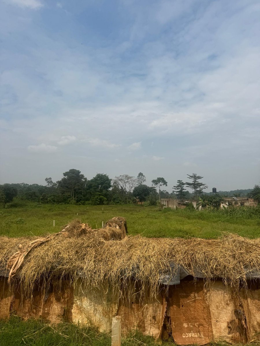 KalwinUg's tweet photo. Join the Gayaza community. Secure one of our 7 (50 by 100) plots in Gayaza-Nakasajja at only UGX 35M each. With ready land title, water and electricity on site.
For more details contact us at +256702300812
#realestate
#availableland
#BuyNow https://t.co/x1UtQ9kjsV