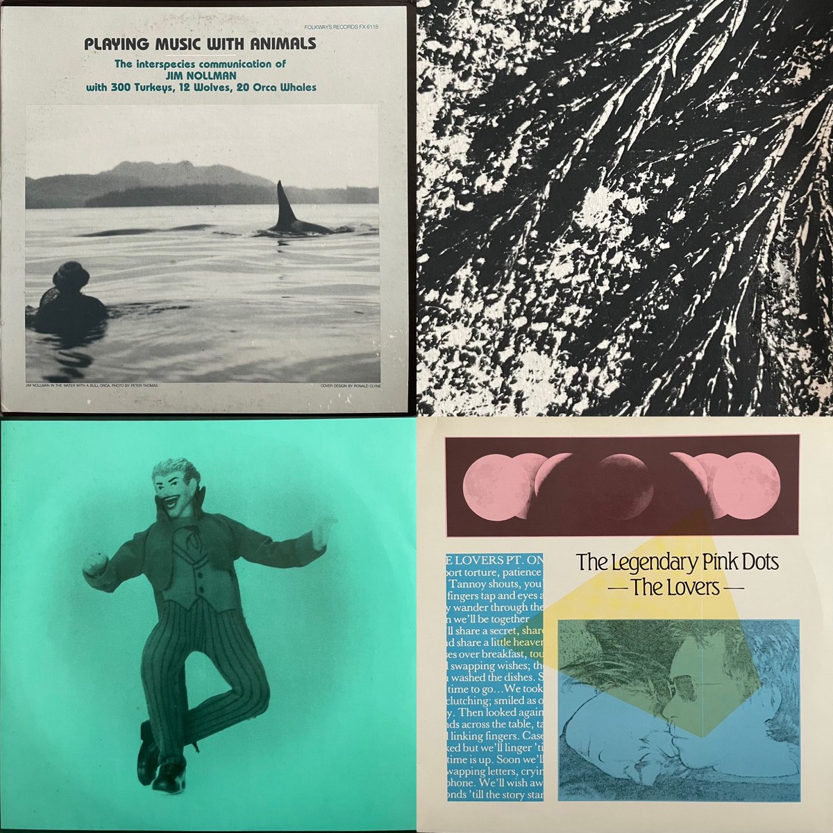 GalapagosRecord's tweet photo. 新入荷アップしました。どうぞよろしくお願いいたします。
#world #experimental #fieldrecording #improvisation #ethnic #jazz #college #soundart #dub #funk #trival #industrial #synthpop #unitedstates #unitedkingdom #netherlands https://t.co/i0p9d8YBA2