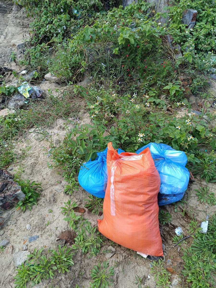 phug0505's tweet photo. clean up on a beautiful sunny day @cleanify_vet #cleanifychallenge #EcoWarrior https://t.co/DFJXsmj87p