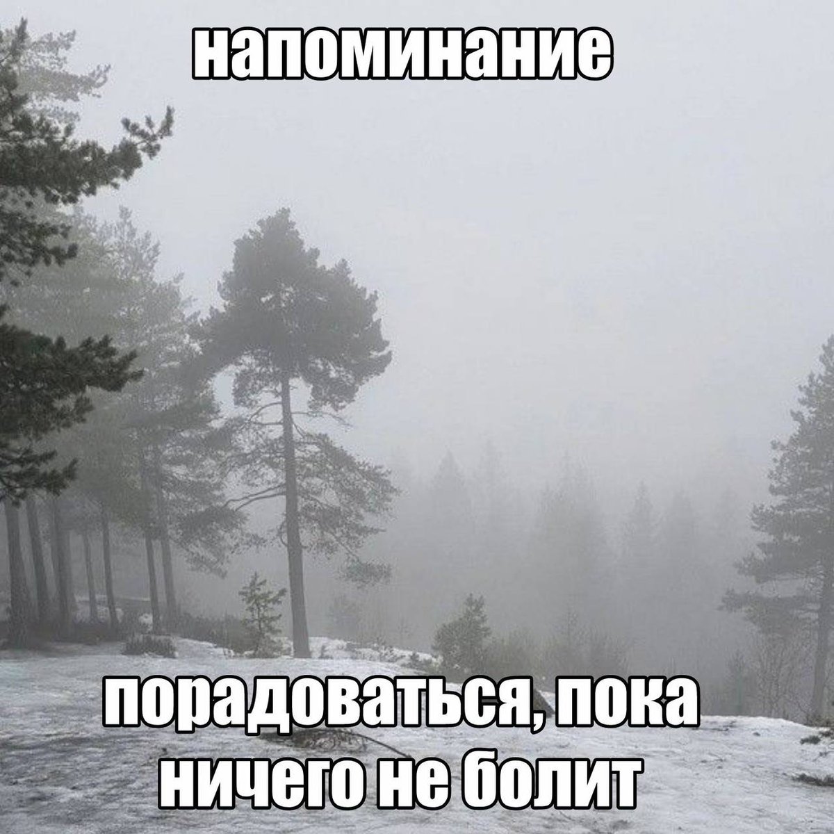 Дантес (@dantesdmitriy) on Twitter photo 
