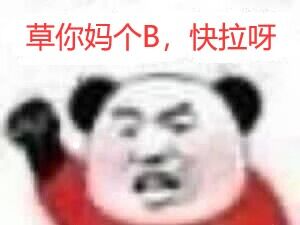 媒体预览