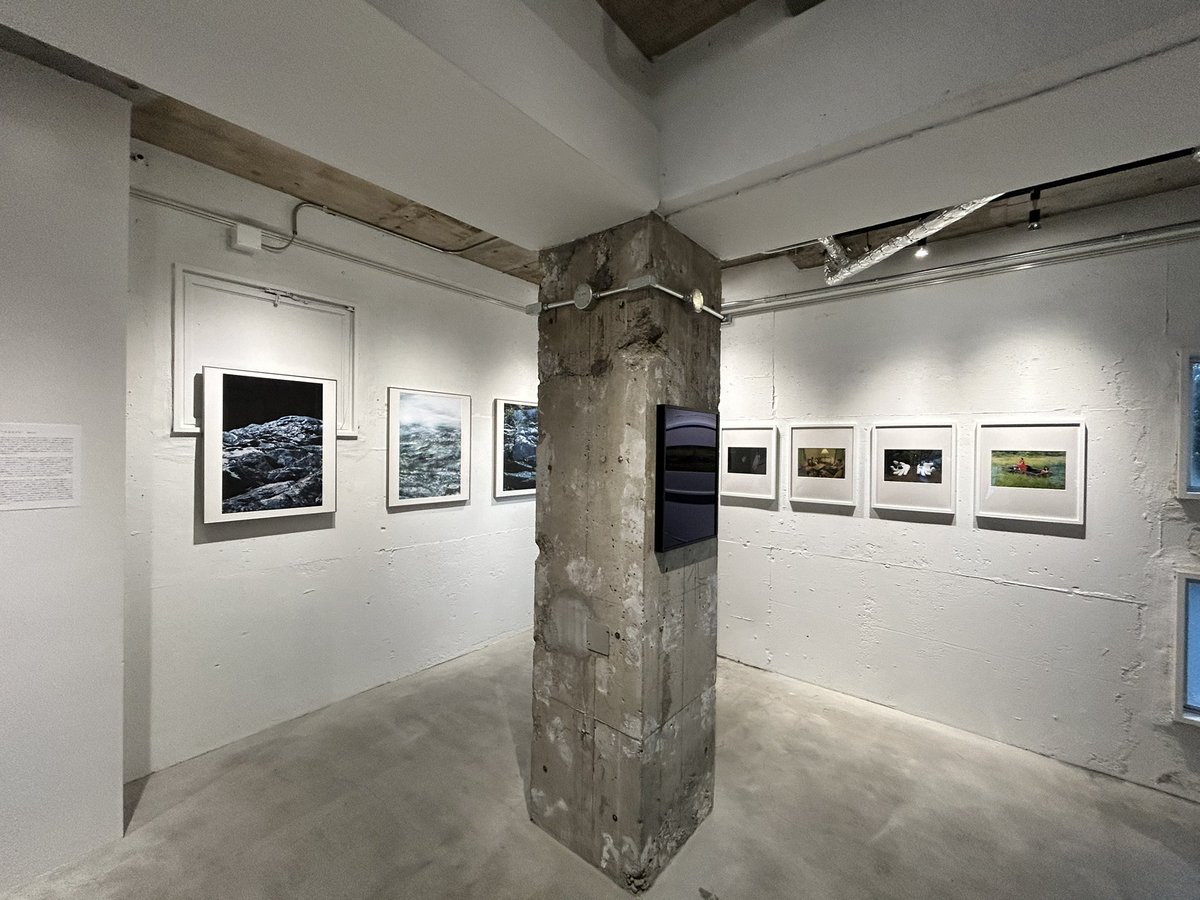 POOL SIDE GALLERY tweet media