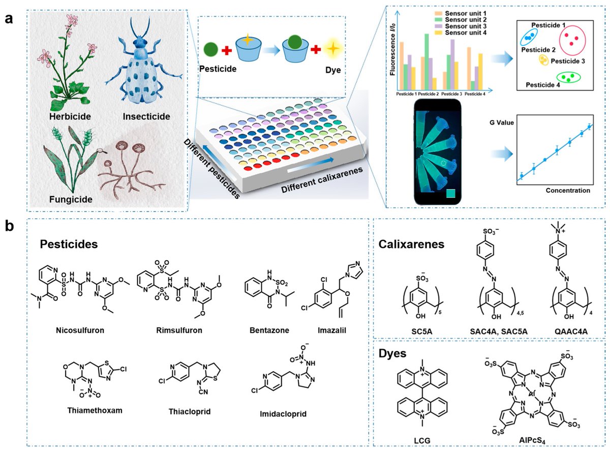 Sensors_MDPI's tweet image. Calixarene-Based   Supramolecular Sensor Array for Pesticide Discrimination 
mdpi.com/1424-8220/24/1…
@NanKaiUniv 
#pesticide; #sensorarray; #supramolecularchemistry