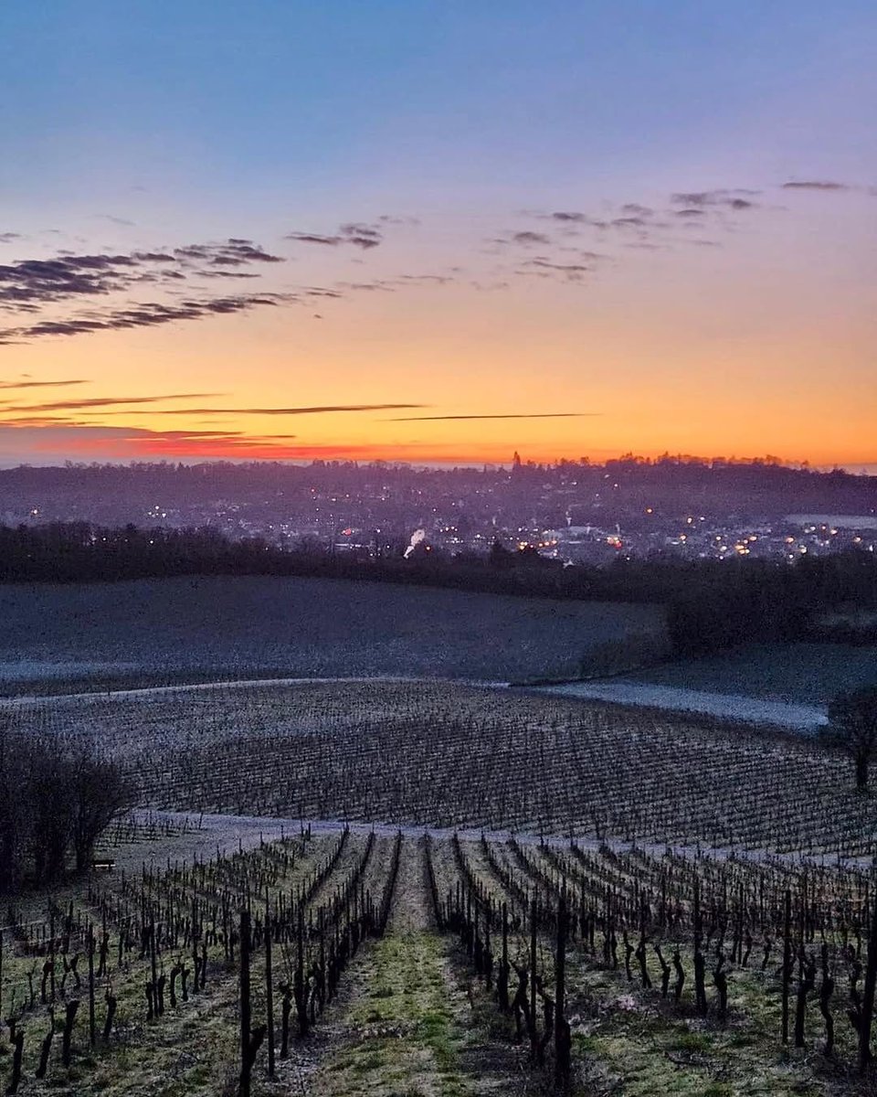 Hello Dorking tweet media