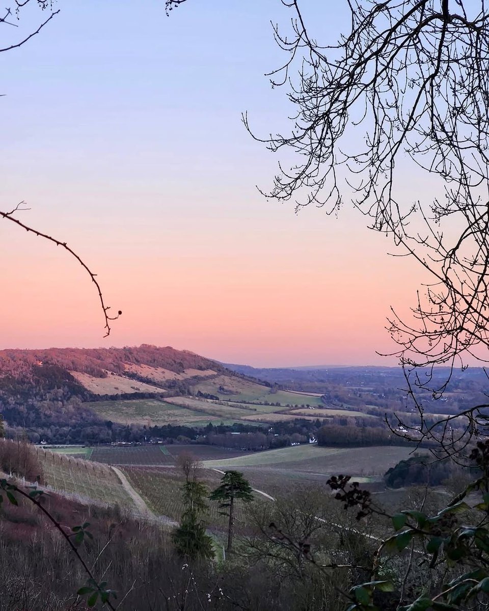 Hello Dorking (@hellodorking) on Twitter photo Welcome to your weekly Friday update. Head to our Facebook page @hellodorking to find out what’s happening in and around Dorking this weekend.
Have a wonderful weekend. Send us your upcoming events to be included in our weekly update #FridayUpdate #WhatsOn
📸: <a href="/denbiesvineyard/">Denbies Wine Estate</a> Welcome to your weekly Friday update. Head to our Facebook page @hellodorking to find out what’s happening in and around Dorking this weekend.
Have a wonderful weekend. Send us your upcoming events to be included in our weekly update #FridayUpdate #WhatsOn
📸: <a href="/denbiesvineyard/">Denbies Wine Estate</a>