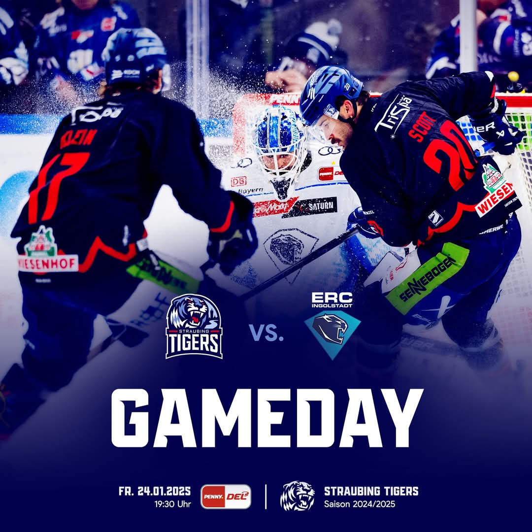 srtigersfans's tweet photo. 🟦 G A M E D A Y ⬜

Derbytime am Pulverturm! Heute geht es gegen Spitzenreiter Ingolstadt 🔥🏒

#STRvsING | #PENNYDEL

#tigershockey https://t.co/7esQZNcP2h