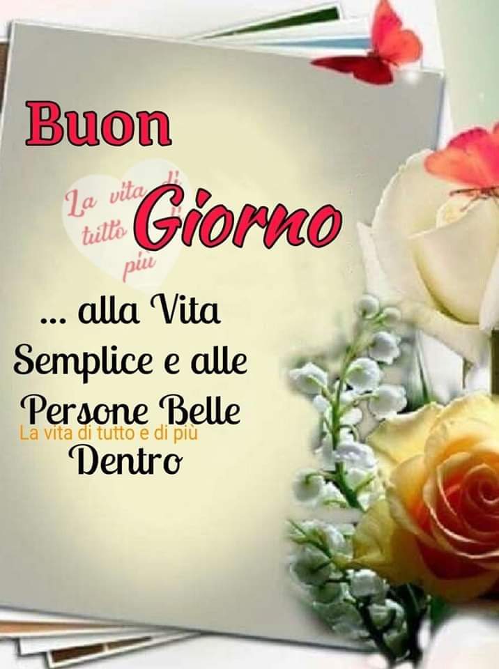 Marianna tweet media