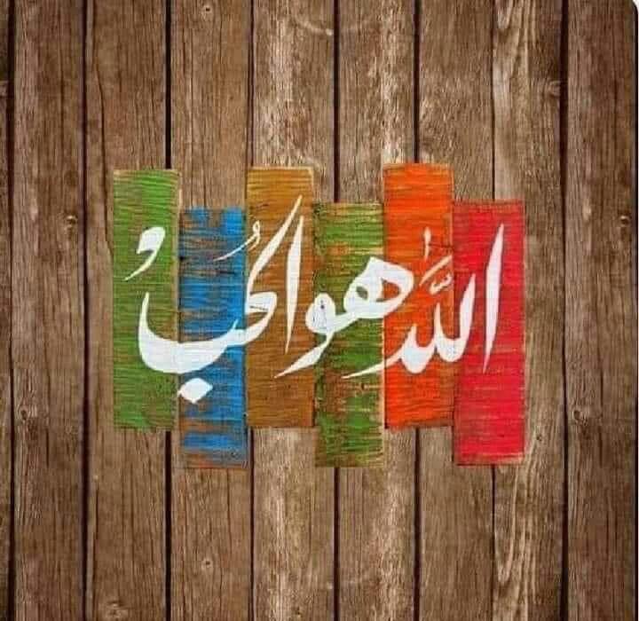 salah salah (@salahsa88315289) on Twitter photo 